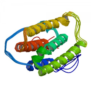 interferon